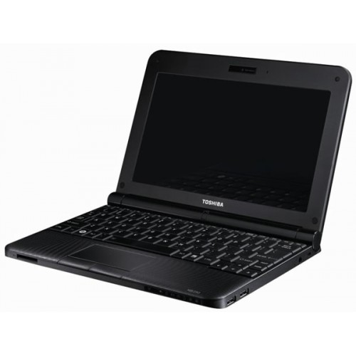 Netbook Toshiba - NB250 – A1110 PLL2PG-00301S, Black