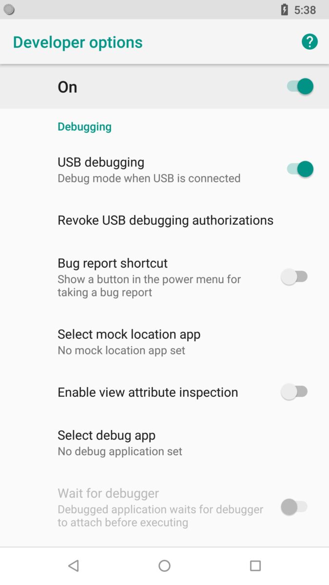 Settings Inside the Android Developer Options